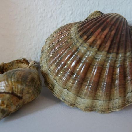 Ferienwohnung كيل المظهر الخارجي الصورة
