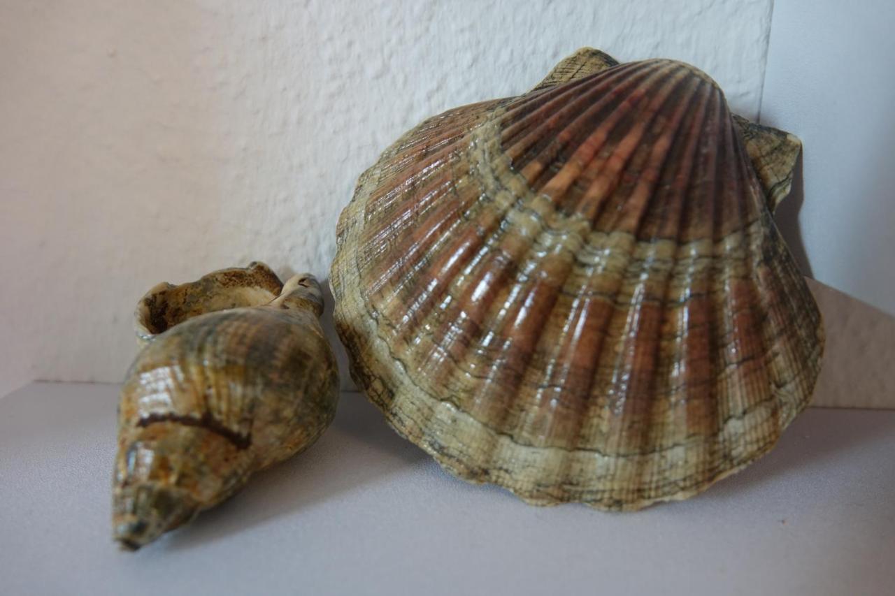 Ferienwohnung كيل المظهر الخارجي الصورة